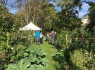 Gartenführung im ElisaBeet (Foto: himmelbeet gGmbH)